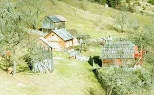 Camp